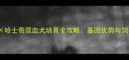 蝴蝶犬哈士奇混血犬培育全攻略基因优势与饲养指南