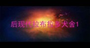 后现代拉布拉多犬舍
