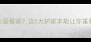 狗狗为何天生爱看家这5大护家本能让你重新认识汪星人