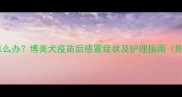 博美疫苗接种后感冒怎么办博美犬疫苗后感冒症状及护理指南附疫苗后护理全攻略