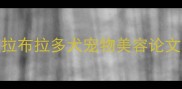 拉布拉多犬宠物美容论文