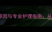 拉布拉多趴蹄的7大原因与专业护理指南从症状识别到康复方案