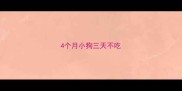 4个月小狗三天不吃