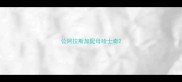 公阿拉斯加配母哈士奇