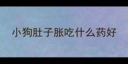 小狗肚子胀吃什么药好