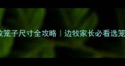 成年边牧笼子尺寸全攻略边牧家长必看选笼避坑指南