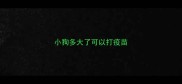 小狗多大了可以打疫苗