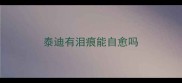 泰迪有泪痕能自愈吗