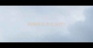 狗狗肝炎怎么治疗