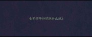 金毛怀孕补钙吃什么好