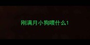 刚满月小狗喂什么