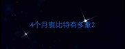 4个月惠比特有多重