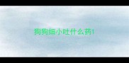 狗狗细小吐什么药