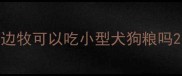 边牧可以吃小型犬狗粮吗