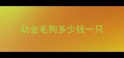 幼金毛狗多少钱一只