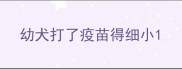 幼犬打了疫苗得细小