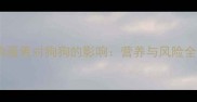 鸡蛋黄对狗狗的影响营养与风险全