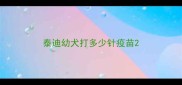 泰迪幼犬打多少针疫苗