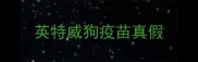 英特威狗疫苗真假