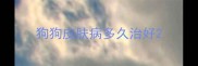 狗狗皮肤病多久治好