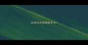 边牧幼犬前期是多大