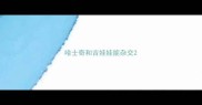 哈士奇和吉娃娃能杂交