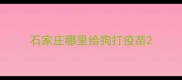 石家庄哪里给狗打疫苗