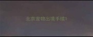 北京宠物出境手续