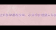 拉布拉多幼犬科学喂养指南小米的合理摄入与营养搭配全