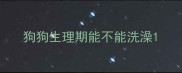 狗狗生理期能不能洗澡