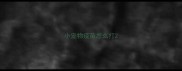 小宠物疫苗怎么打