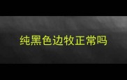 纯黑色边牧正常吗