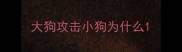 大狗攻击小狗为什么