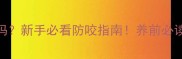 哈士奇凶人吗新手必看防咬指南养前必读的5大关键点