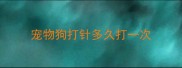 宠物狗打针多久打一次