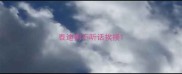 泰迪狗不听话挨揍