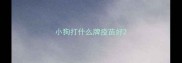 小狗打什么牌疫苗好