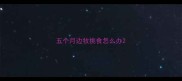 五个月边牧挑食怎么办