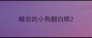 睡觉的小狗翻白眼