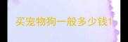 买宠物狗一般多少钱