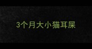 3个月大小猫耳屎
