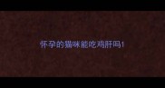 怀孕的猫咪能吃鸡肝吗