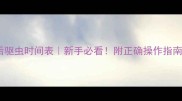 猫咪疫苗后驱虫时间表新手必看附正确操作指南和避坑攻略