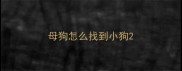 母狗怎么找到小狗