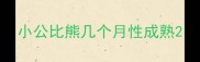 小公比熊几个月性成熟