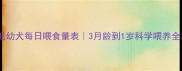 金毛幼犬每日喂食量表3月龄到1岁科学喂养全攻略
