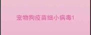 宠物狗疫苗细小病毒