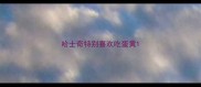 哈士奇特别喜欢吃蛋黄