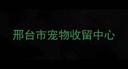 邢台市宠物收留中心