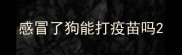 感冒了狗能打疫苗吗